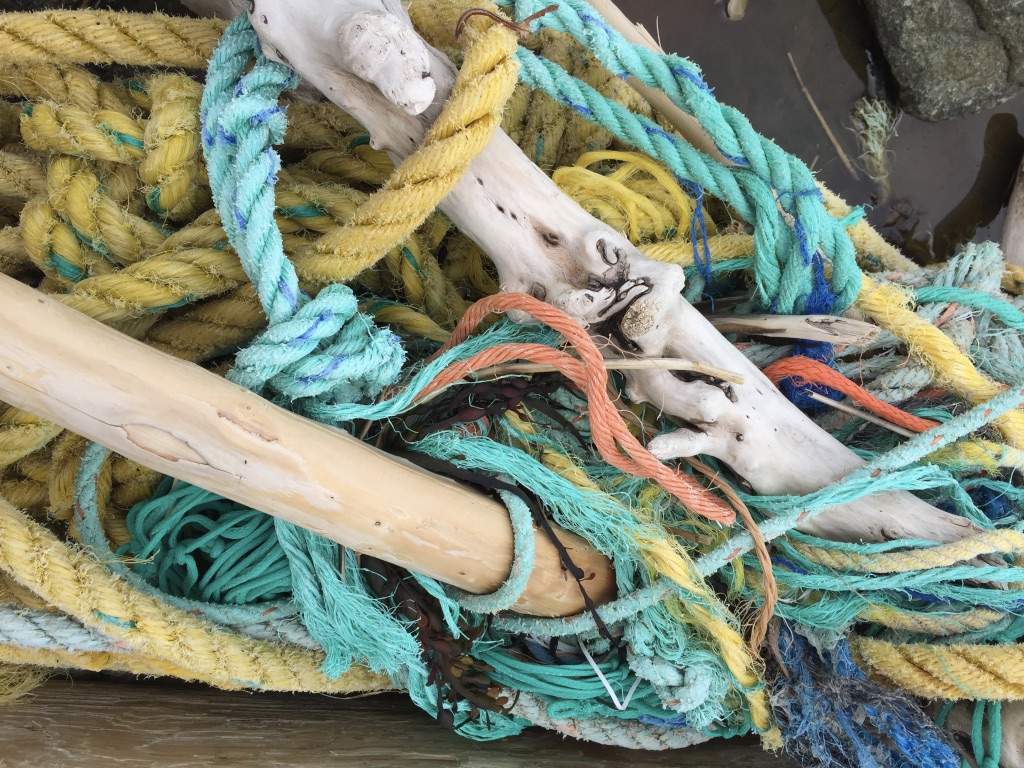 Colourful fishing rope snarled around driftwood. Photo taken by Alexa Goodman May 2018
