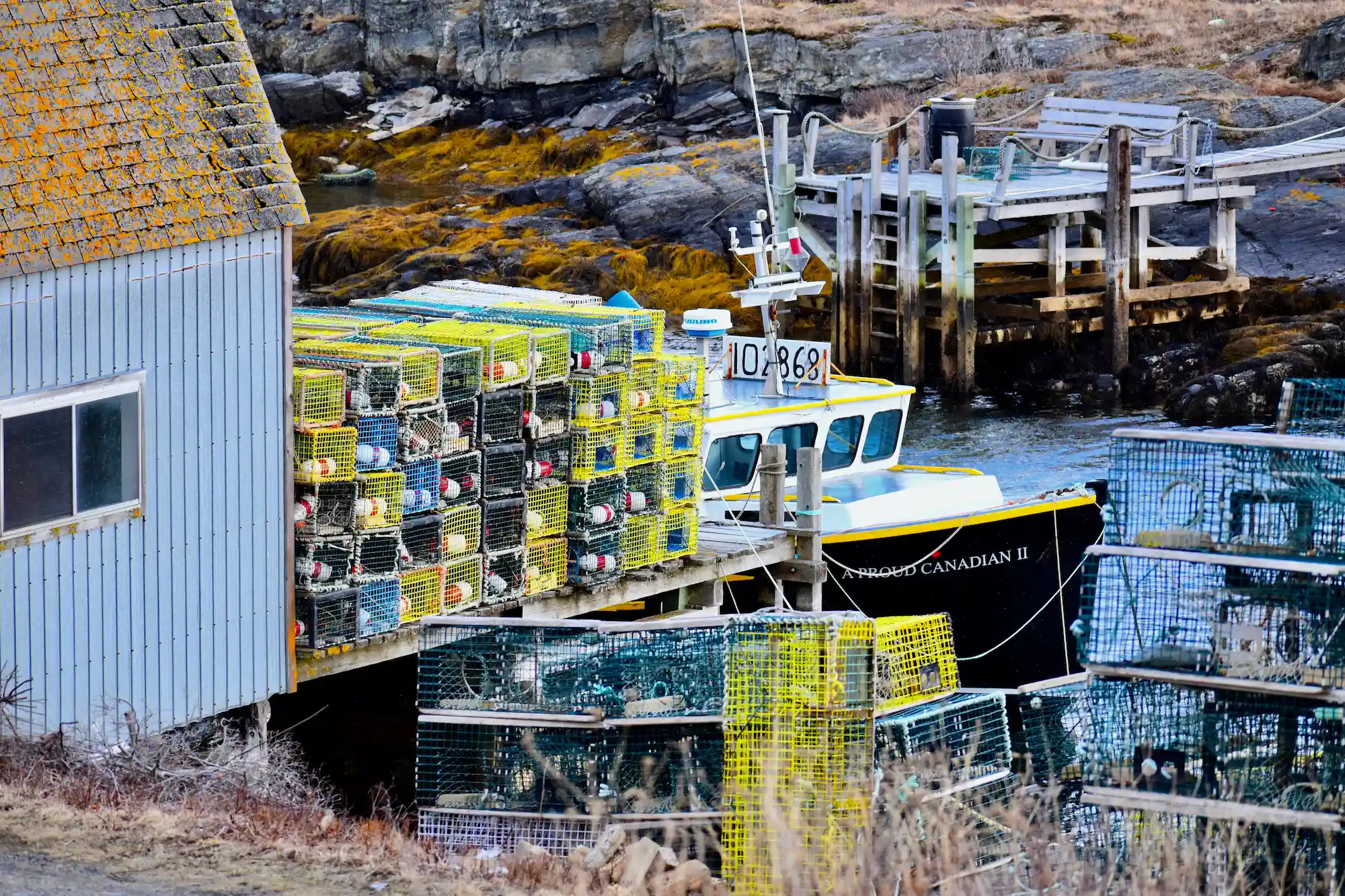 Wire Traps Ready to Go - BlueRocks, NS - Photo by Rachel Kendall 2021