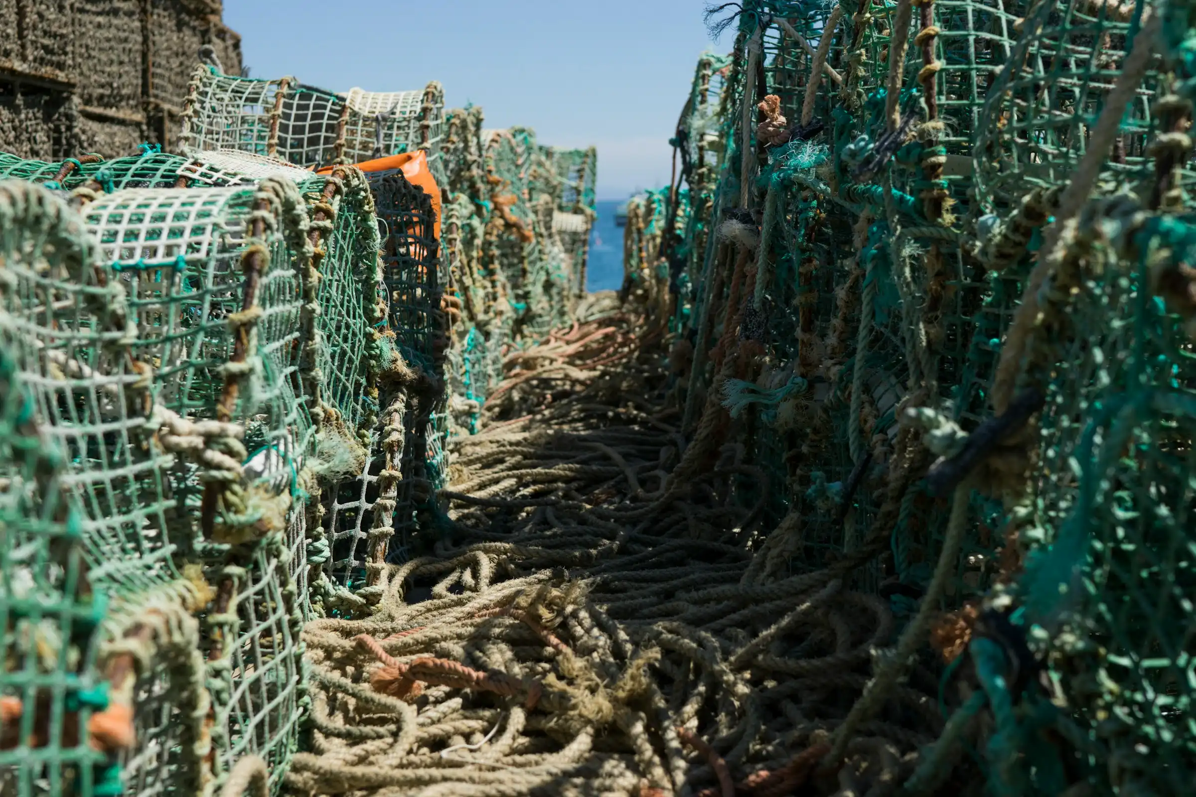 Green and white rope lobster cages stacked.