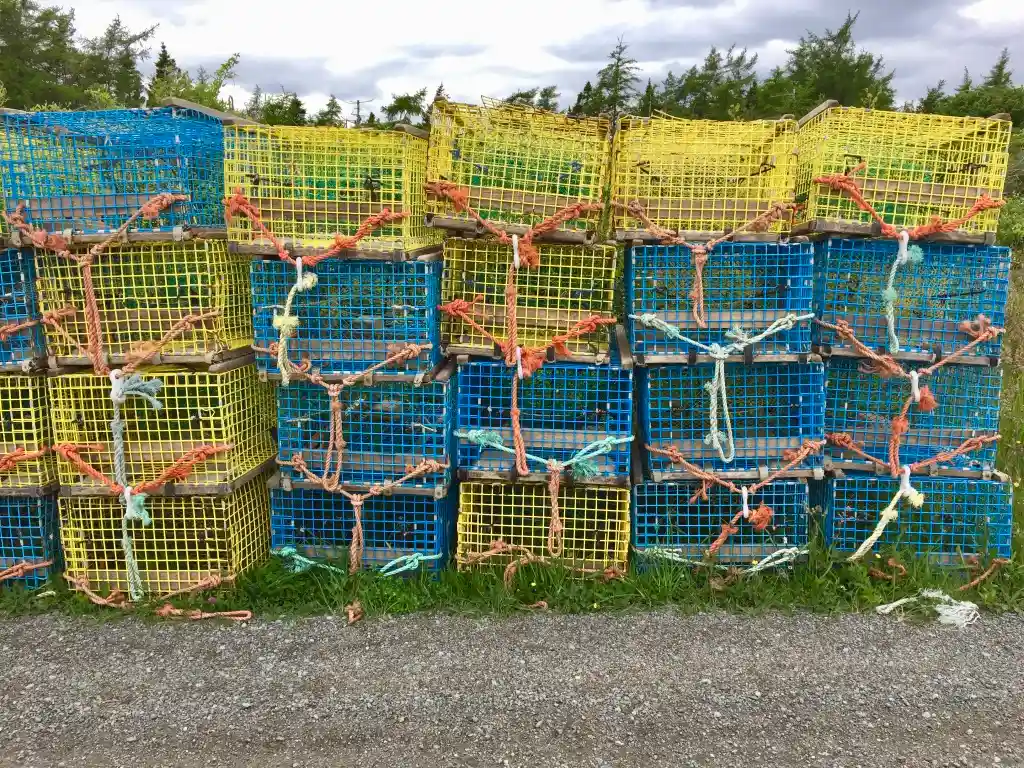 stockpile of wire traps, yellow and blue with orange rope.