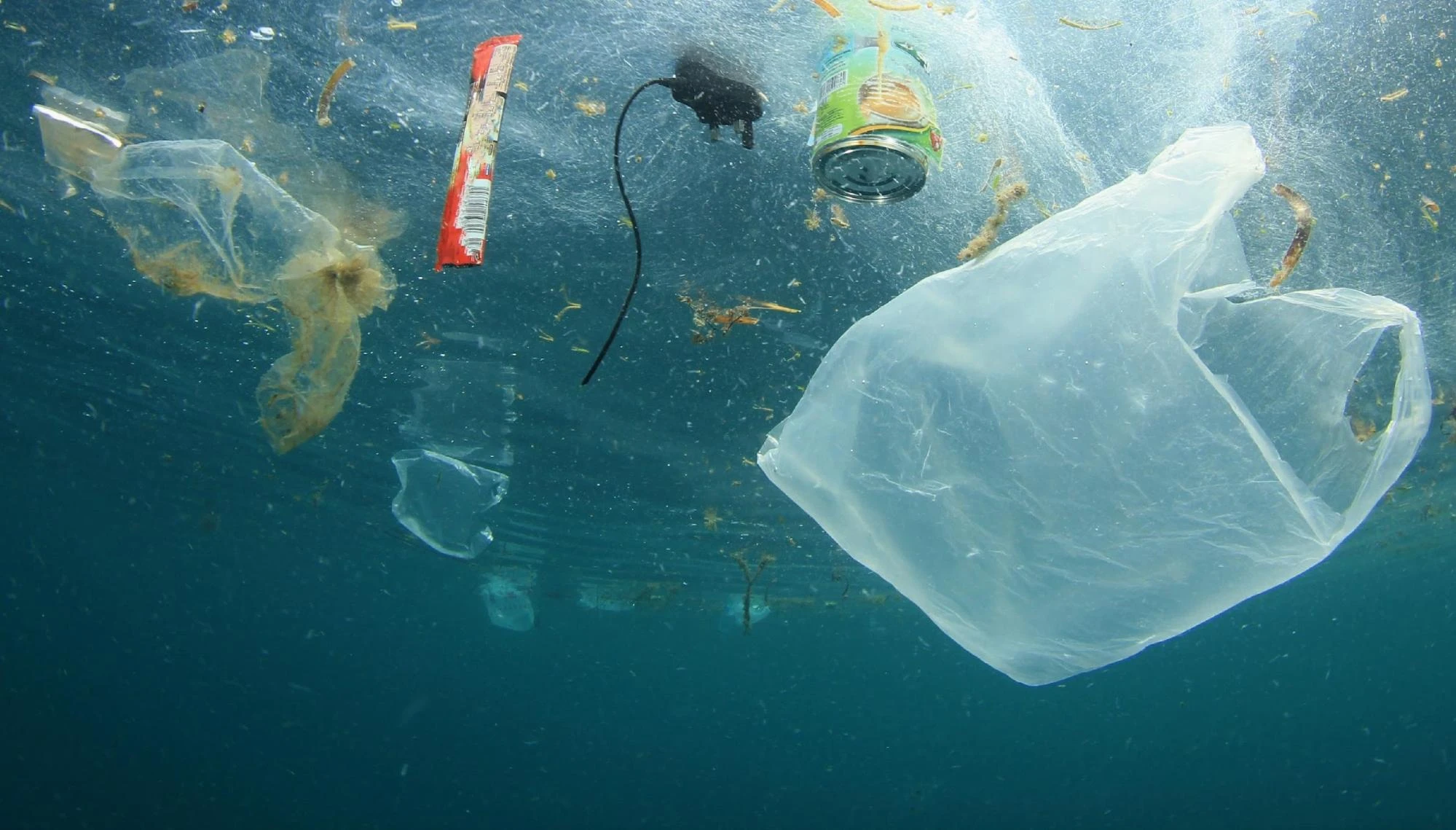 Marine Plastics Waste Management (2022-2023)